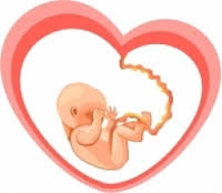 Bạo chúa hôm nay